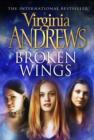 Broken Wings - eBook