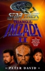 Triangle: Imzadi II : Star Trek The Next Generation - eBook