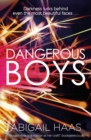 Dangerous Boys - eBook