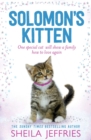 Solomon's Kitten - eBook