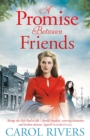 A Promise Between Friends - Book