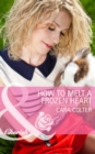 How to Melt a Frozen Heart - eBook