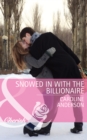 Snowed in with the Billionaire - eBook