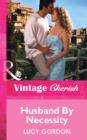 Husband By Necessity - eBook