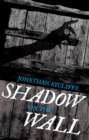 Shadow On The Wall - Book