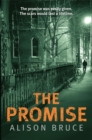 The Promise - Book