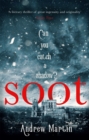 Soot : The Times's Historical Fiction Book of the Month - Book