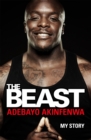 The Beast : My Story - eBook