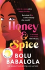Honey & Spice : the heart-melting TikTok Book Club pick - Book