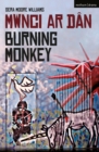 Burning Monkey : Mwnci ar Dan - Book