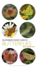 Pocket Guide to Butterflies - eBook