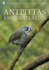 Antpittas and Gnateaters - Book