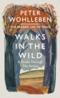 Walks in the Wild : A guide through the forest with Peter Wohlleben - eBook
