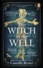 The Witch in the Well : A deliciously disturbing Gothic tale of a revenge reaching out across the years - eBook