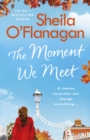 The Moment We Meet - Book