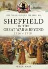 Sheffield in the Great War and Beyond : 1916 - 1918 - Book
