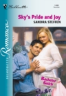 Sky's Pride And Joy - eBook