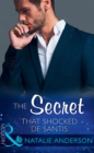 The Secret That Shocked De Santis - eBook
