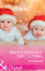 Santa's Seven-Day Baby Tutorial - eBook