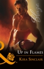 Up In Flames - eBook