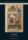 Rumi : A Life in Pictures - Book