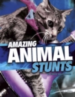Amazing Animal Stunts - eBook