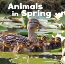 Animals in Spring - Book