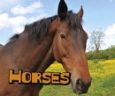 Horses - Book