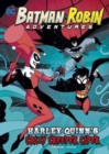 Batman & Robin Adventures Pack B of 4 - Book