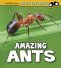 Amazing Ants - eBook