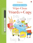 Wipe-clean Words to Copy - Book