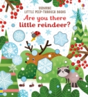 Are You There Little Reindeer? - Book