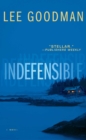 Indefensible : A Novel - eBook