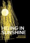 Hiding in Sunshine - Book