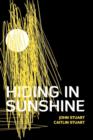 Hiding in Sunshine - Book