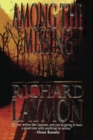 AMONG THE MISSING - Book