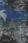 Tropical Aesthetics of Black Modernism - eBook