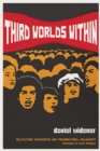 Third Worlds Within : Multiethnic Movements and Transnational Solidarity - Book