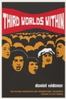 Third Worlds Within : Multiethnic Movements and Transnational Solidarity - eBook