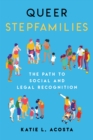 Queer Stepfamilies : The Path to Social and Legal Recognition - Book