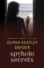 Spyhole Secrets - eBook