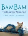 Bambam, the Prince of Valprivas! : A Mostly True Story - eBook