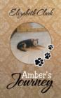 Amber's Journey - Book
