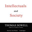 Intellectuals and Society - eAudiobook