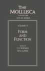 Form and Function : Form and Function - eBook