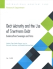 Debt maturity and the use of short-term debt : evidence from sovereigns and firms - Book