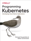 Programming Kubernetes : Developing Cloud-Native Applications - eBook