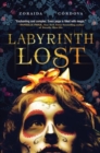 Labyrinth Lost - Book
