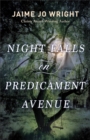 Night Falls on Predicament Avenue - eBook