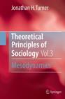 Theoretical Principles of Sociology, Volume 3 : Mesodynamics - Book
